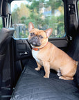 Brown french bulldog sitting on car seat cover in black color