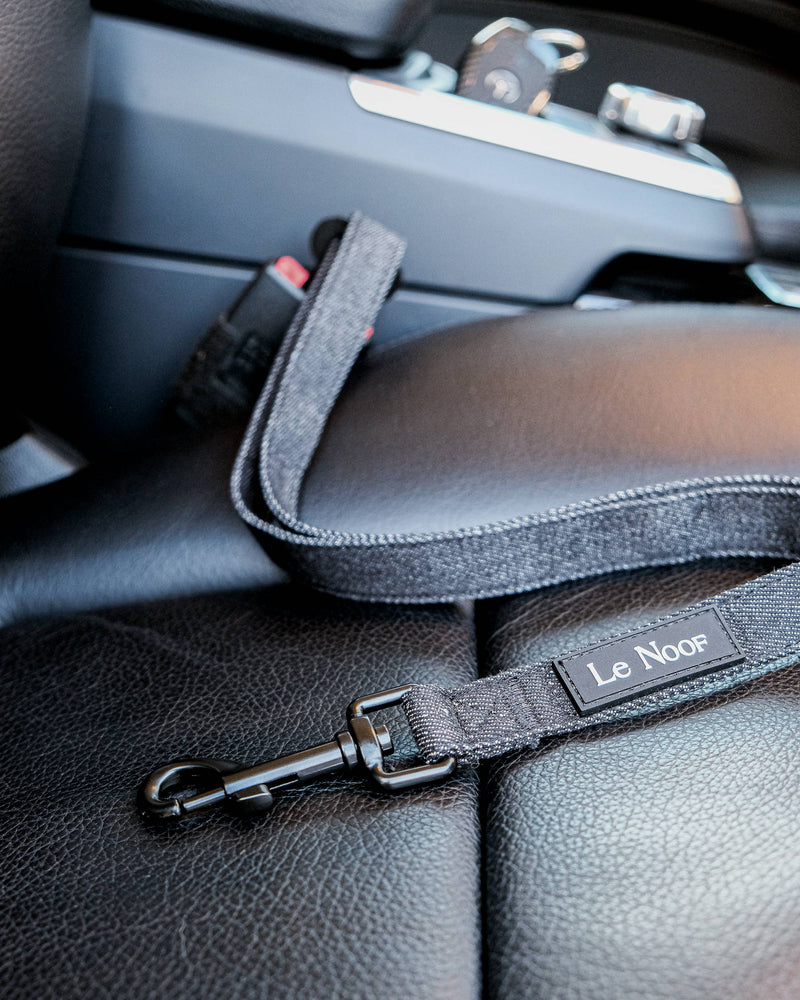 Dark washed denim dog seatbelt clipped in car