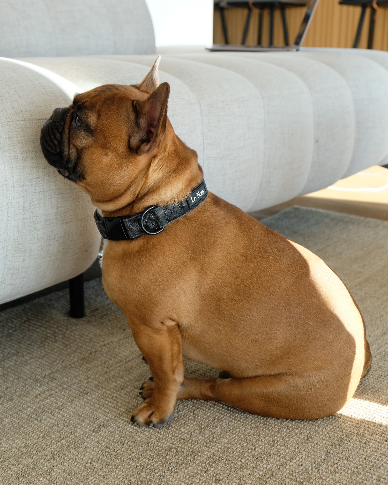 Black Denim Dog Collar