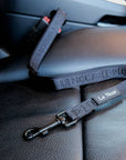Black Le Noof dog seat belt buckled in the car