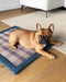 Blue checker plaid outdoor dog mat, Le Noof