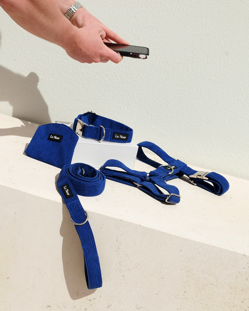 Blue corduroy dog walk set, Le Noof