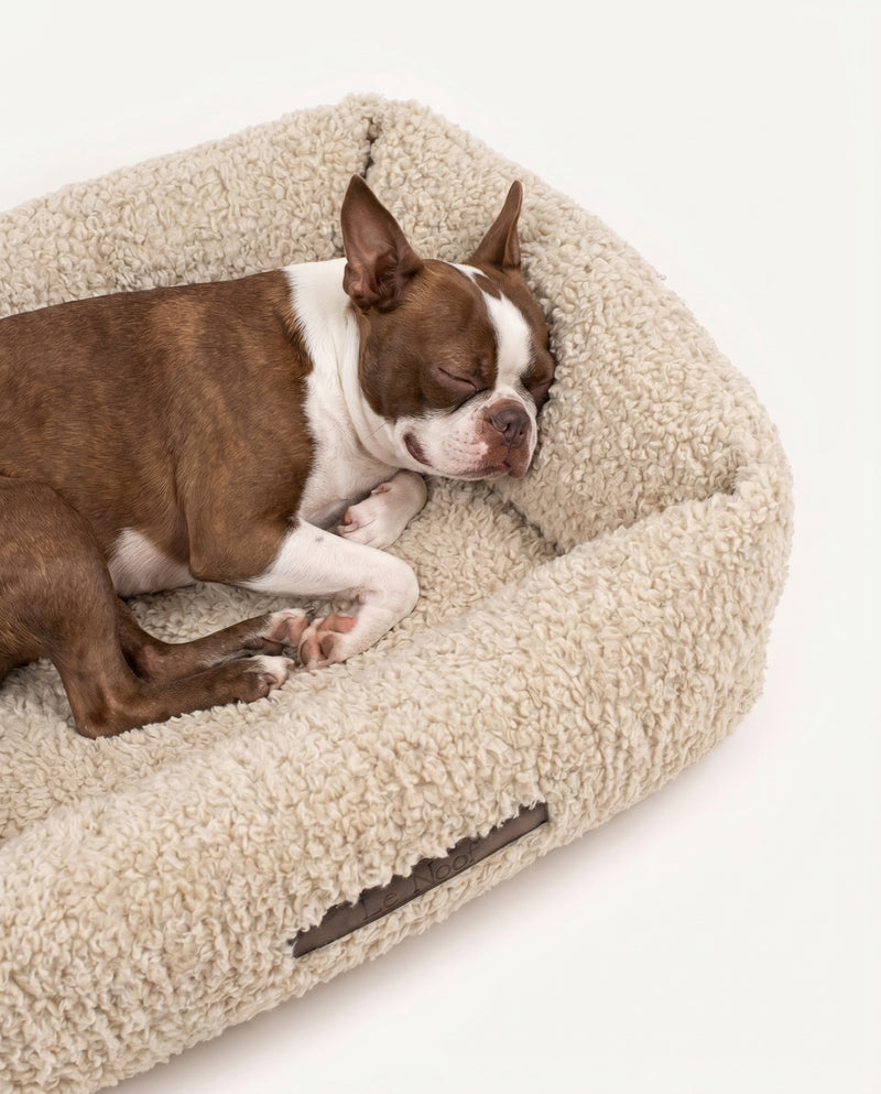 French Bulldog Beige Teddy Sofa Bed