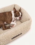French Bulldog Beige Teddy Sofa Bed