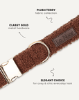Brown Teddy Dog Collar