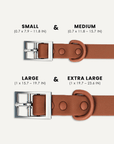 Brown waterproof dog collar size comparison, Le Noof
