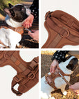 No-Pull Harness Kit