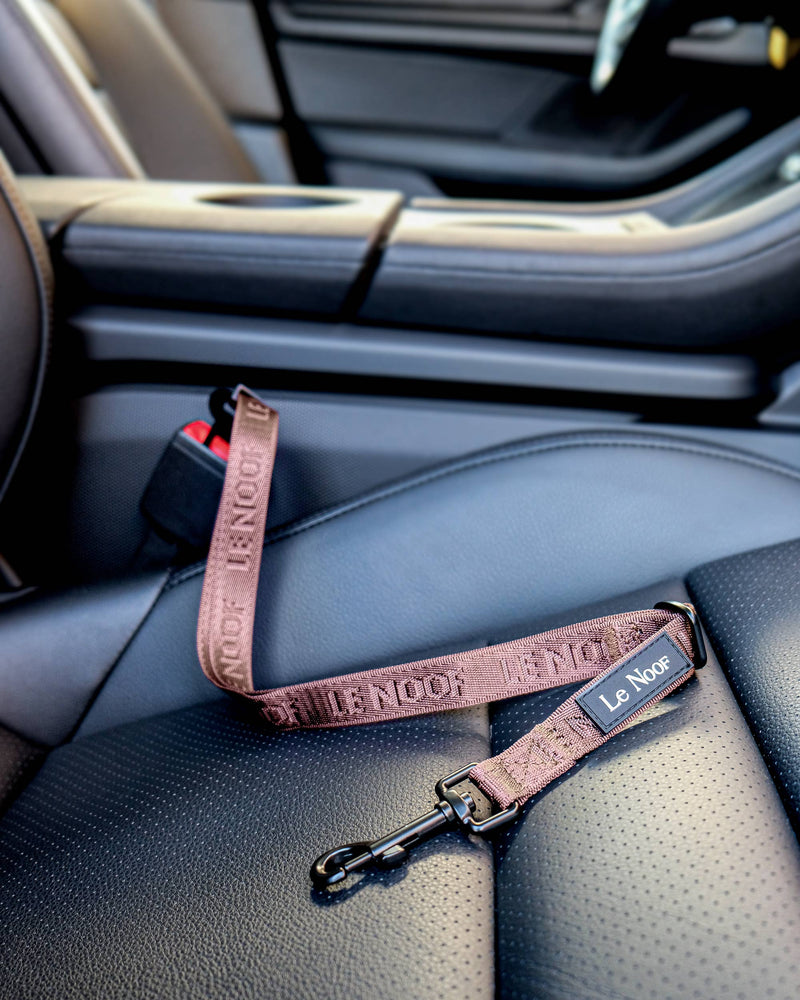 Brown Le Noof dog seat belt buckled in the car