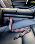 Brown Le Noof dog seat belt buckled in the car