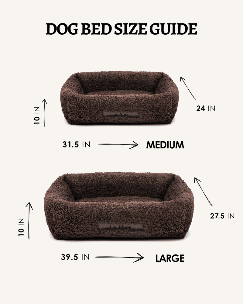 Brown Teddy sofa beds by Le noof with measurements