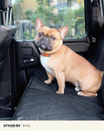 Black Dog Car Seat Cover