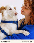 Corduroy Dog Harness Set