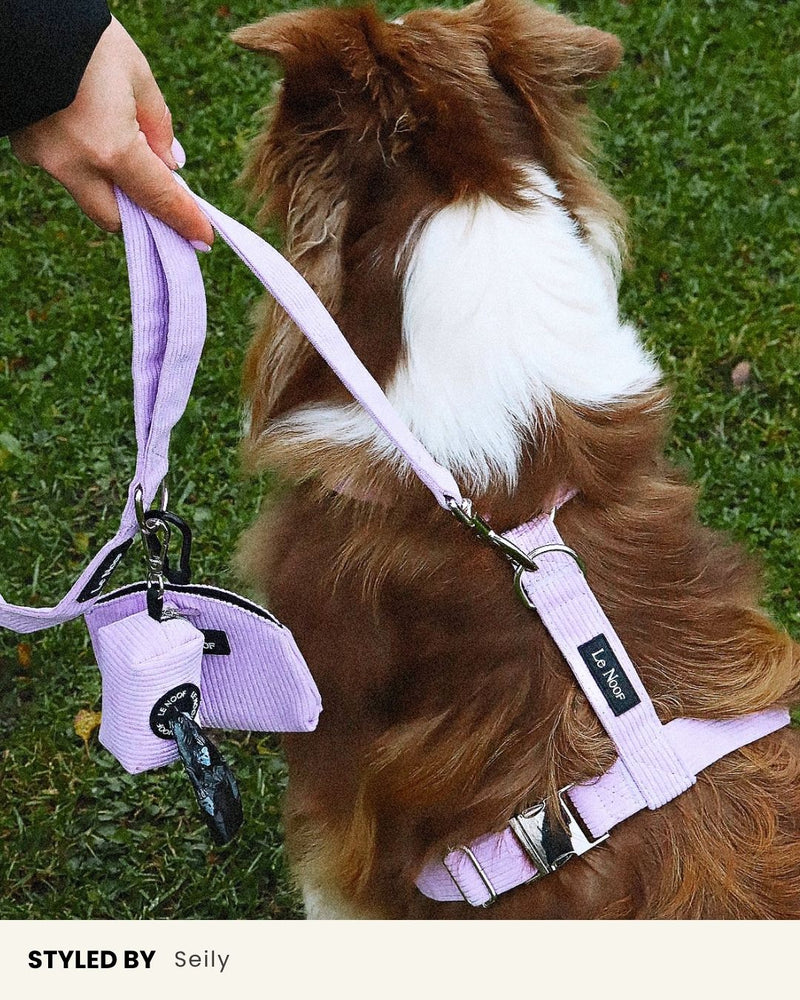 Lavender Corduroy Dog Treat Pouch
