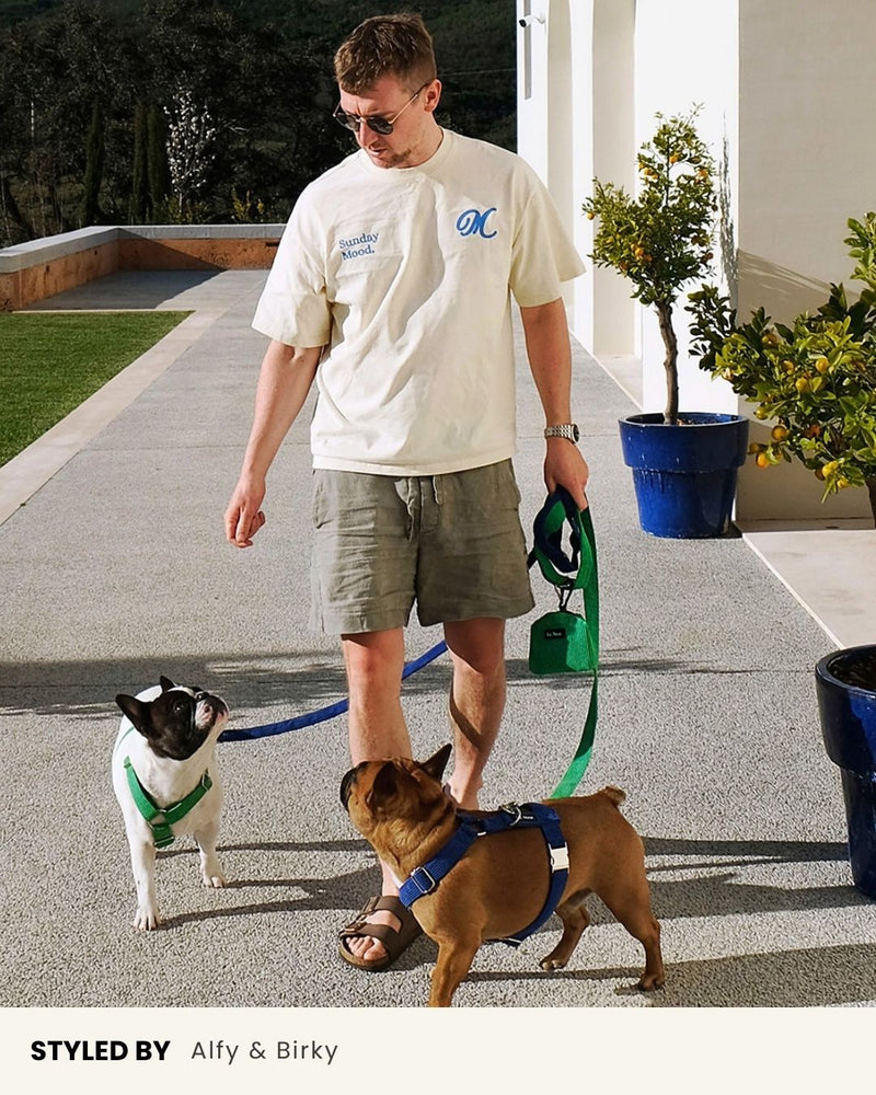 Kelly Green Corduroy Dog Leash