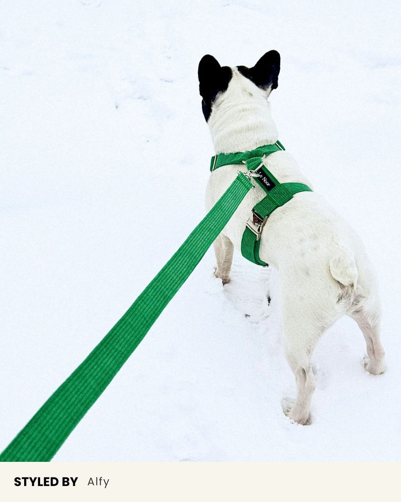 Kelly Green Corduroy Dog Leash