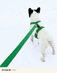Kelly Green Corduroy Dog Leash