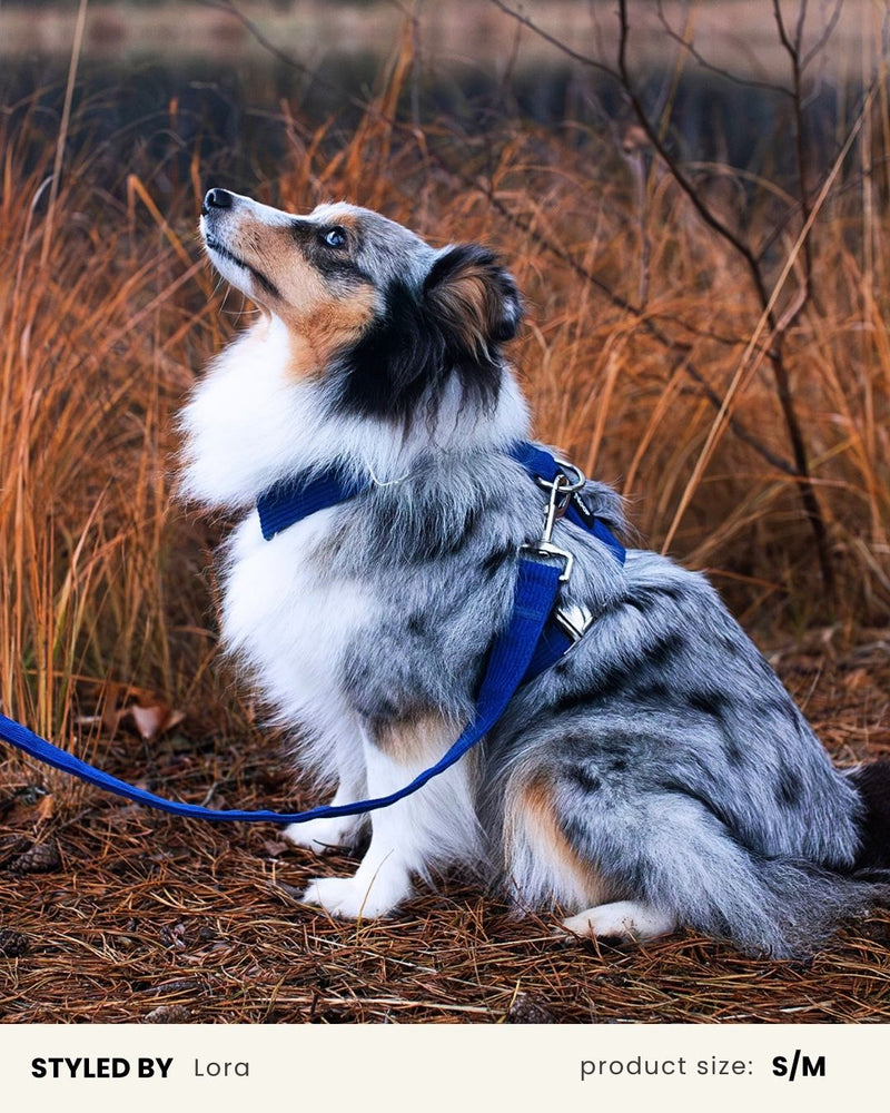 Blue Corduroy Dog Leash