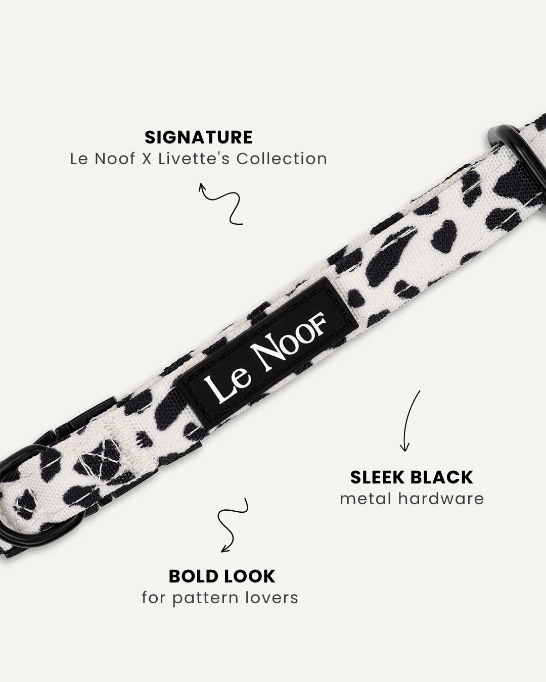 Cow print dog collar close-up, Le Noof