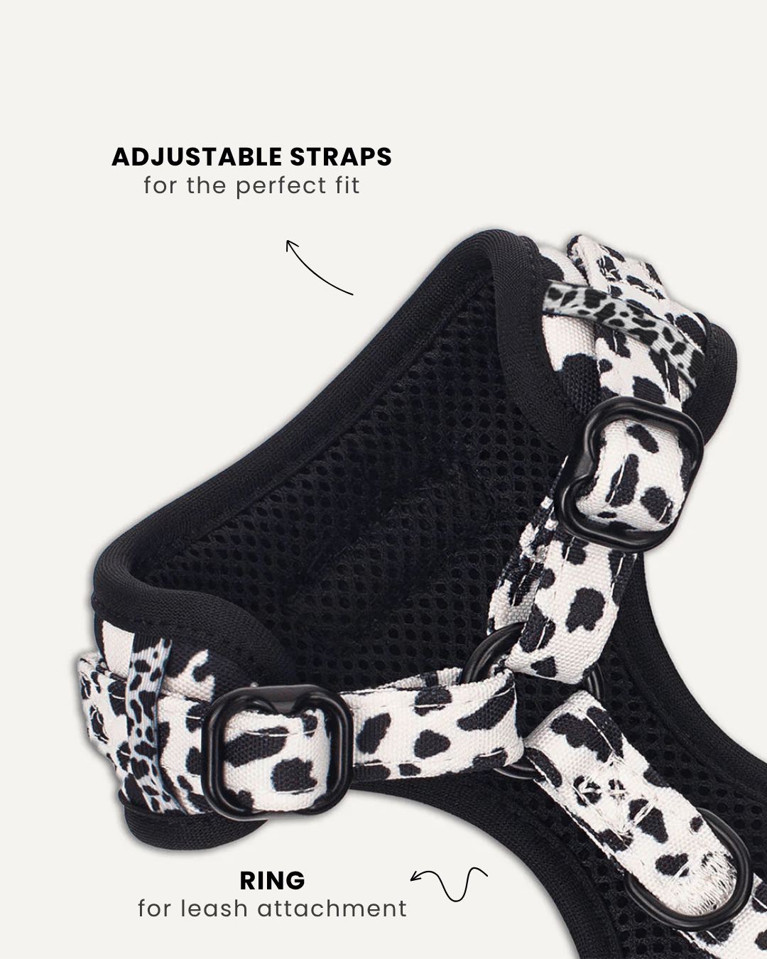 Cow print dog harness close-up, Le Noof