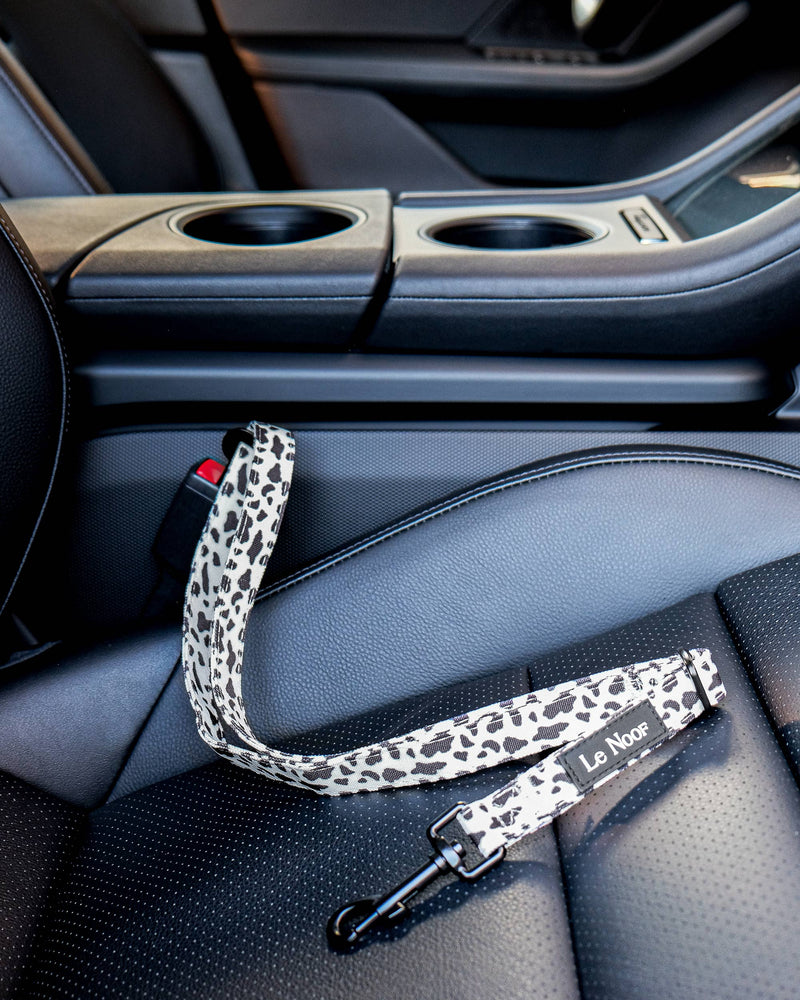 Cow print Le Noof dog seat belt buckled in the car
