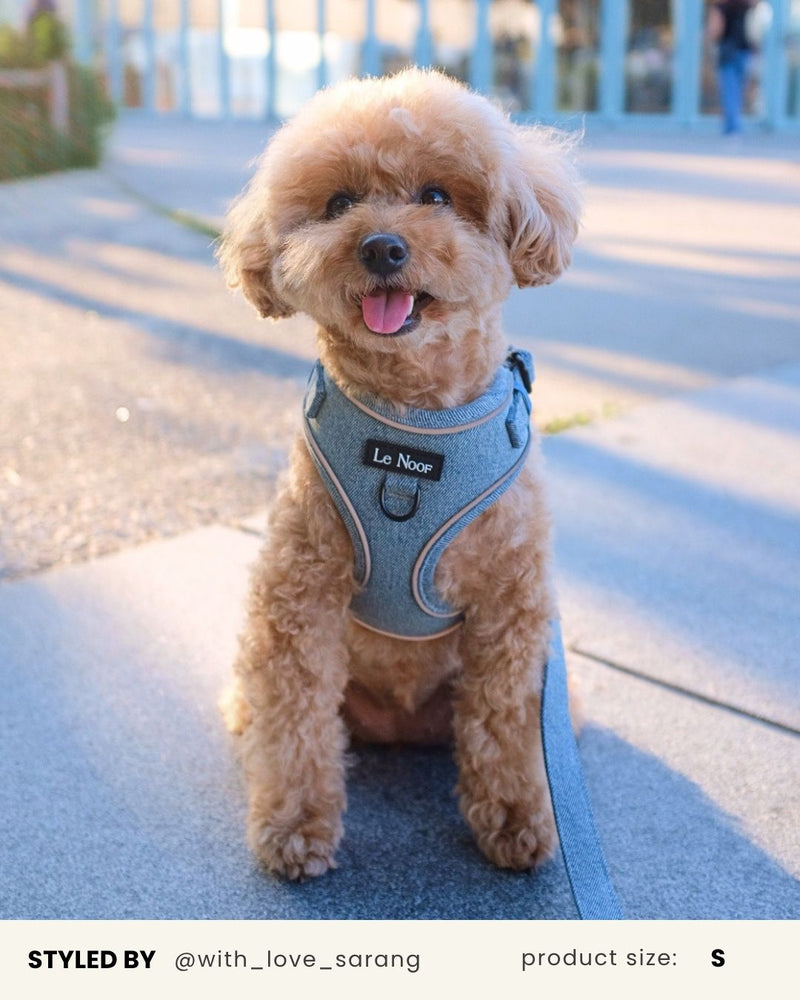 Light Blue Denim No-Pull Dog Harness
