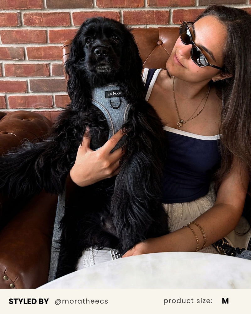 Light Blue Denim No-Pull Dog Harness