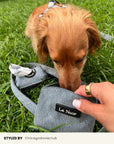 Blue Denim Dog Collar Set