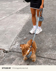Light Blue Denim Dog Leash