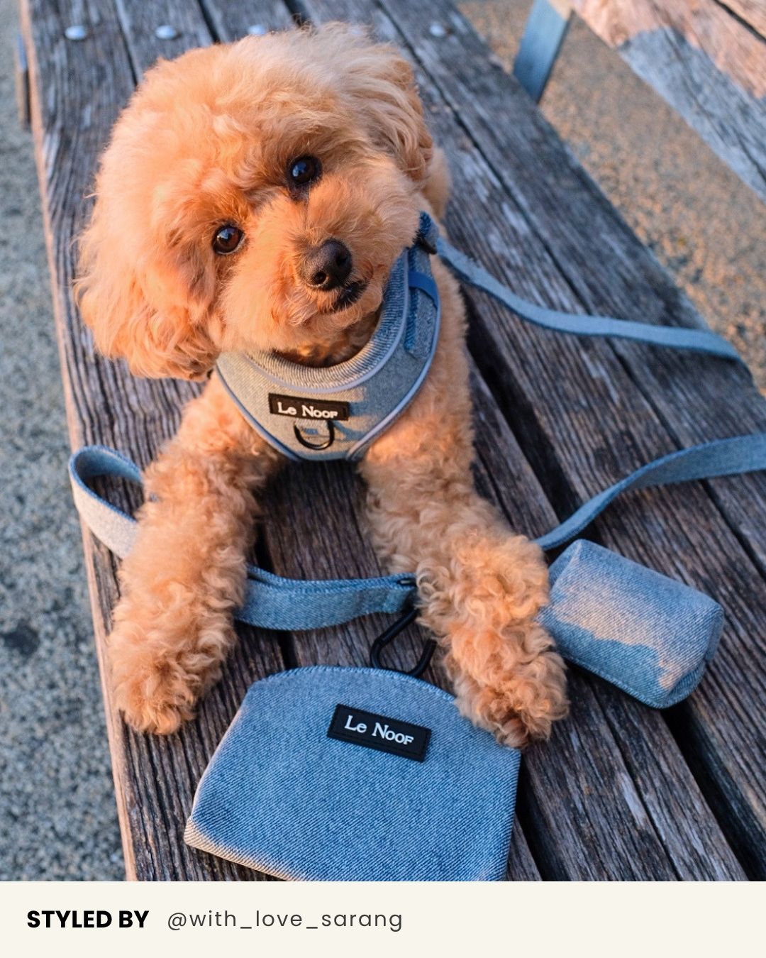 Light Blue Denim Dog Leash – Le Noof