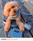 Mix & Match Dog Harness Set
