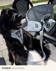 Mix & Match Dog Harness Set