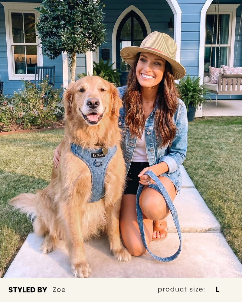 Light Blue Denim No-Pull Dog Harness
