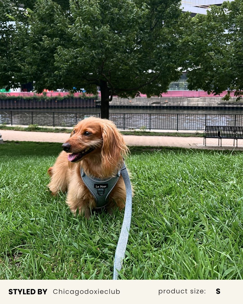Light Blue Denim No-Pull Dog Harness