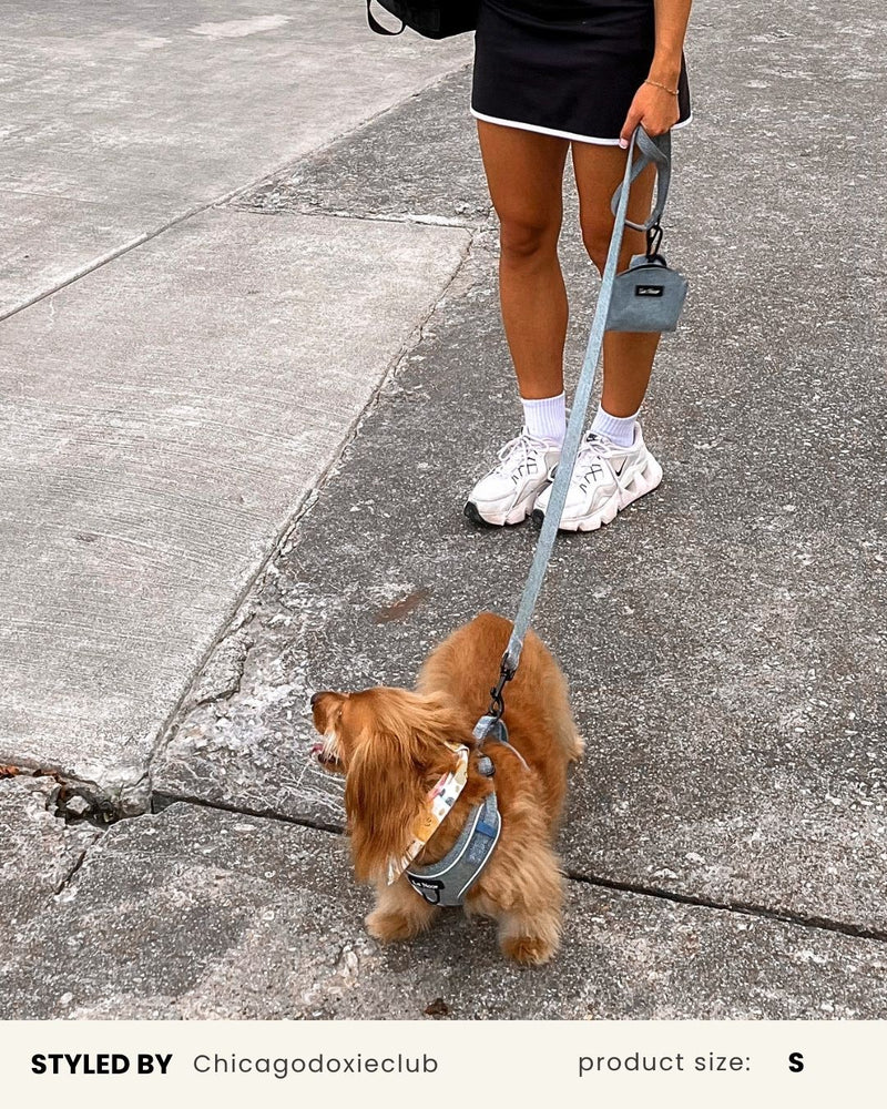 Light Blue Denim No-Pull Dog Harness