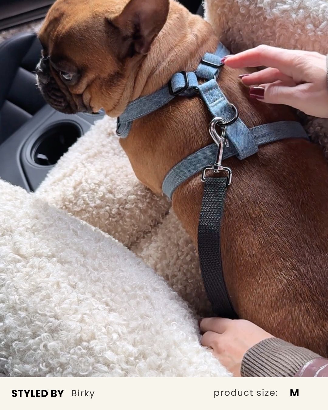 Denim Dog Harness Set