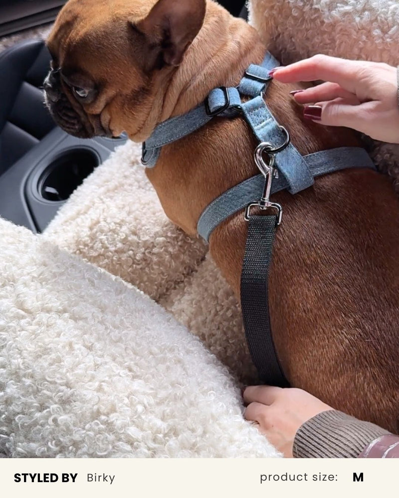 Light Blue Denim No-Pull Dog Harness