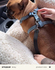 Denim Dog Harness Set