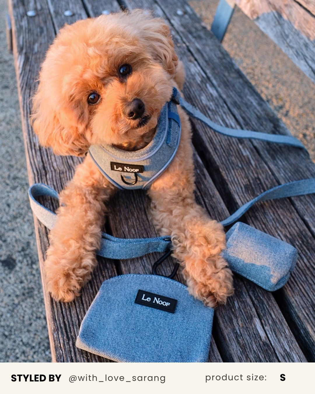 Denim Dog Harness Set