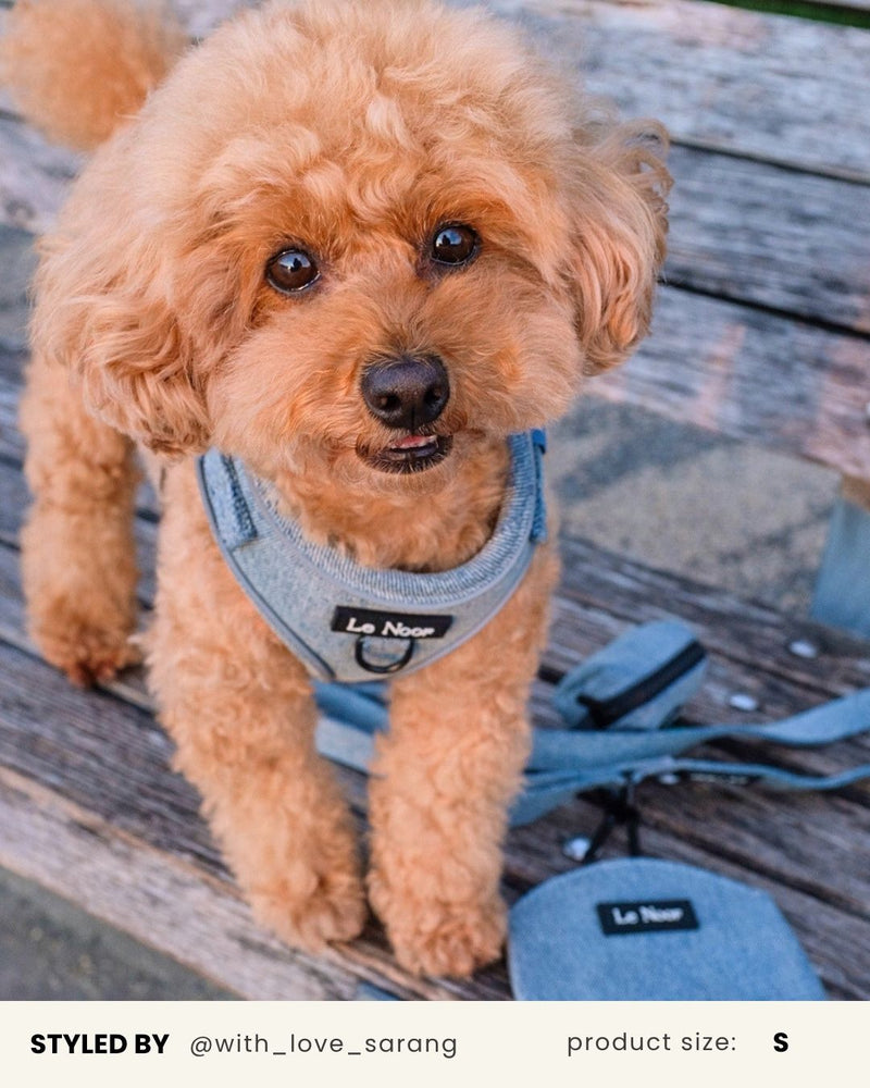 Light Blue Denim No-Pull Dog Harness