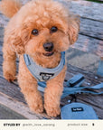 Denim Dog Harness Set