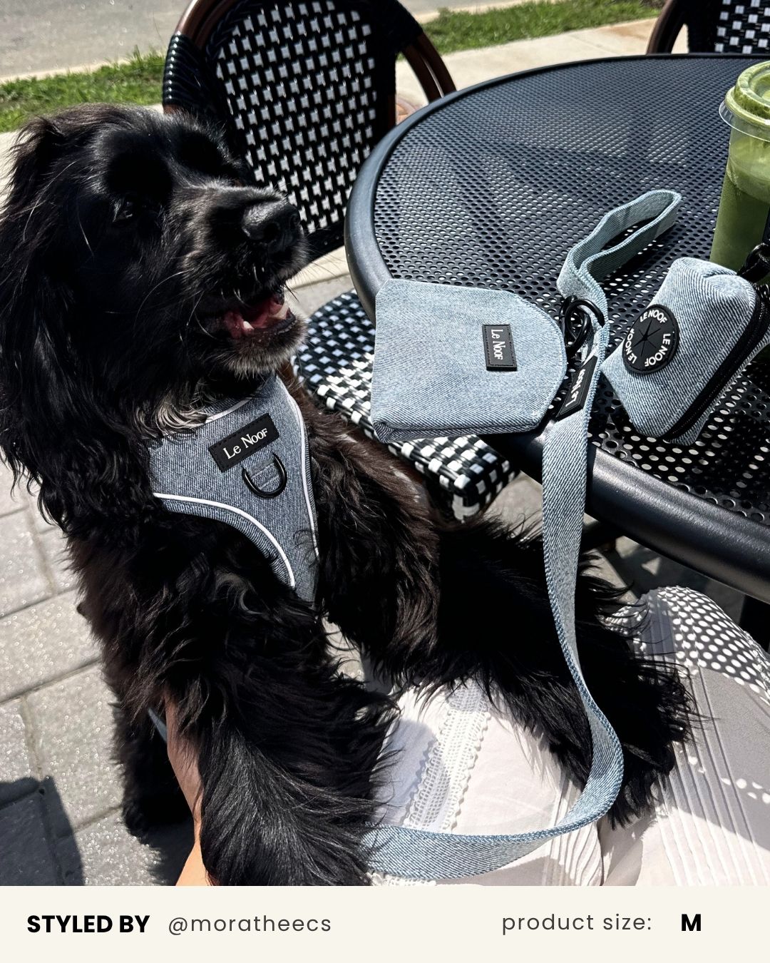 Denim Dog Harness Set
