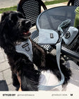 Denim Dog Harness Set