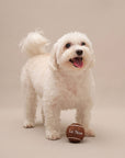 Dog Tennis Balls (Set of 3) Midnight Set
