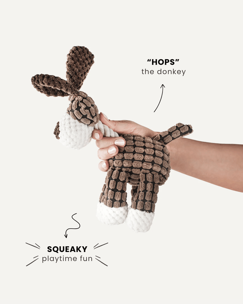 Hops the Donkey – Plush Dog Toy
