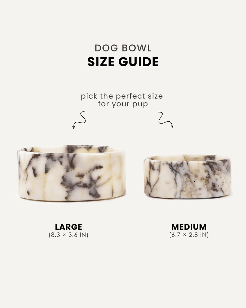 Calacatta Viola marble dog bowl in two sizes, Le Noof