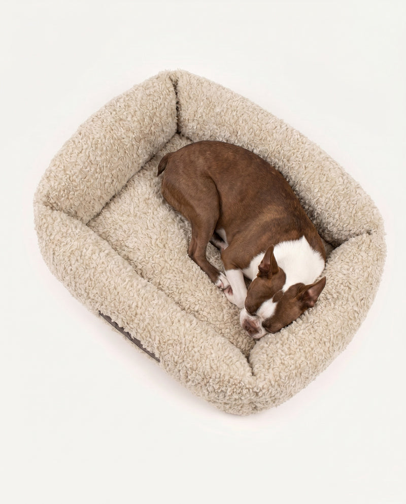 French Bulldog Beige Teddy Sofa Bed