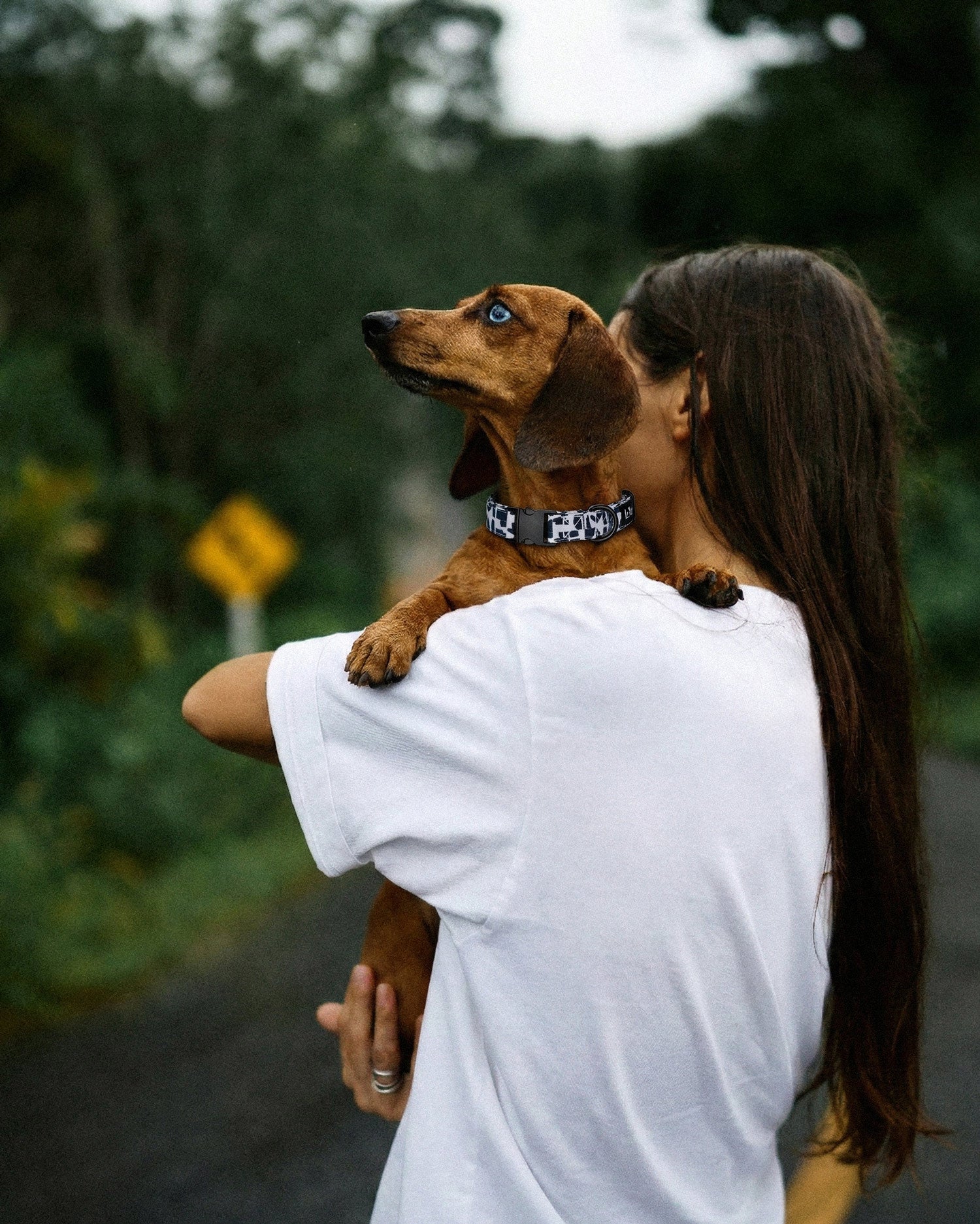 Modern Geometric Print collar with owner in white t shirt