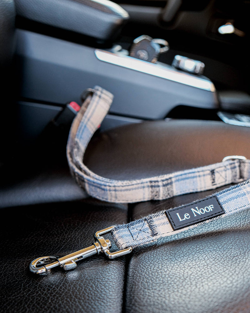 Blue plaid Le Noof dog seat belt buckled in the car