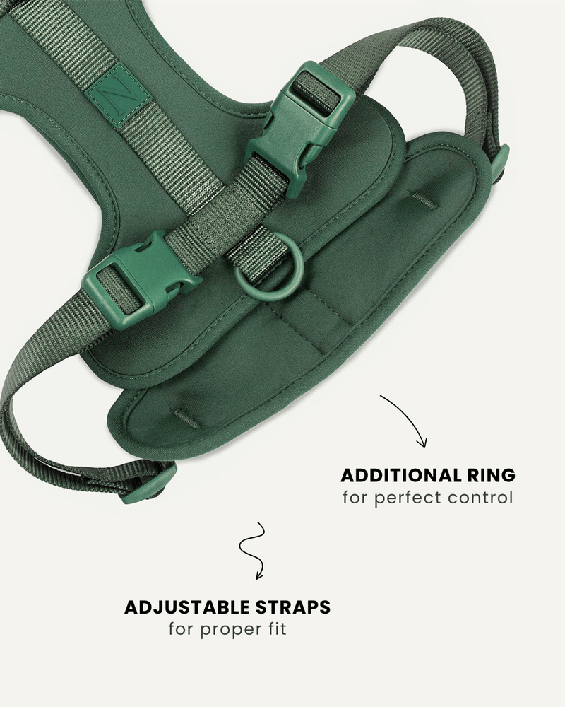 Green neoprene no-pull dog harness, Le Noof