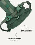 Green neoprene no-pull dog harness, Le Noof